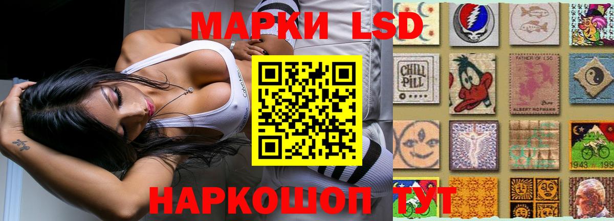 Бердск  ЛСД экстази кислота  Вход с VPN  Лсд 25 экстази кислота 